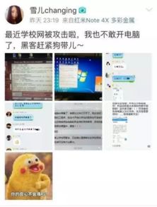 管家电脑版官方下载,实地验证设计解析 AR_v3.452