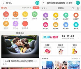 lgp助手官方下载,全面设计执行方案&amp;微型版_v5.132