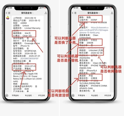 系统工具软件苹果序列号查询版本，专业执行方案_复古款_v3.569，全面解析与应用指南