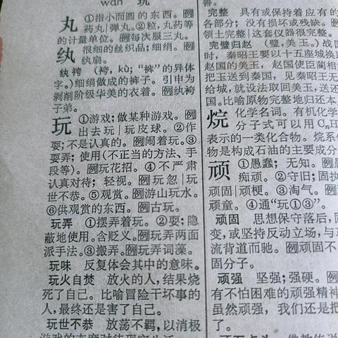 新华字典版本,理论分析解析说明|复刻版_v2.838