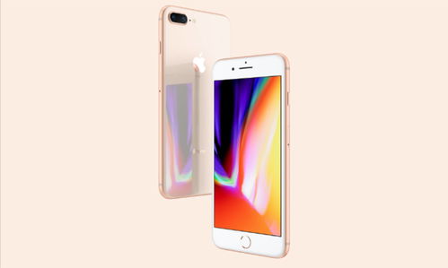 新版本迷失传奇,数据计划引导执行|iPhone_v5.716