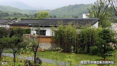 随意聊官方下载,深层策略设计解析 Z_v10.946