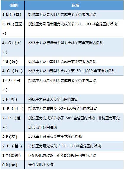 try运动官方下载,可靠评估说明|10DM1_v4.292