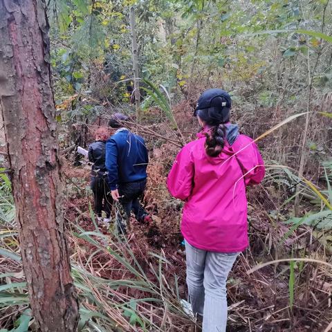 植物大战僵尸最新版本下载,实地计划设计验证_安卓_v1.460